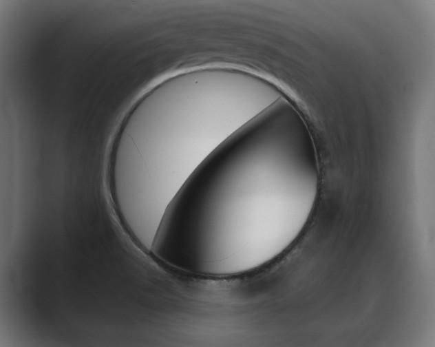 X0000089901518200706281126