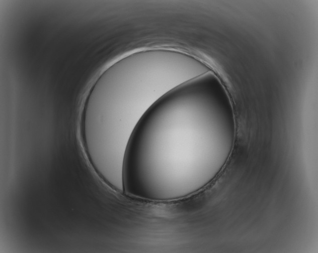 X0000089901520200706281126
