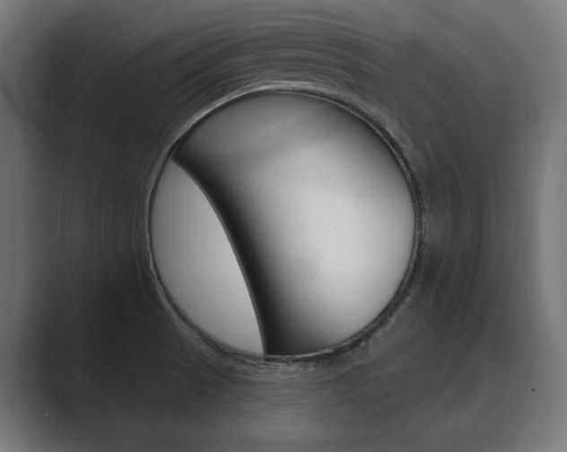 X0000089901521200706281126