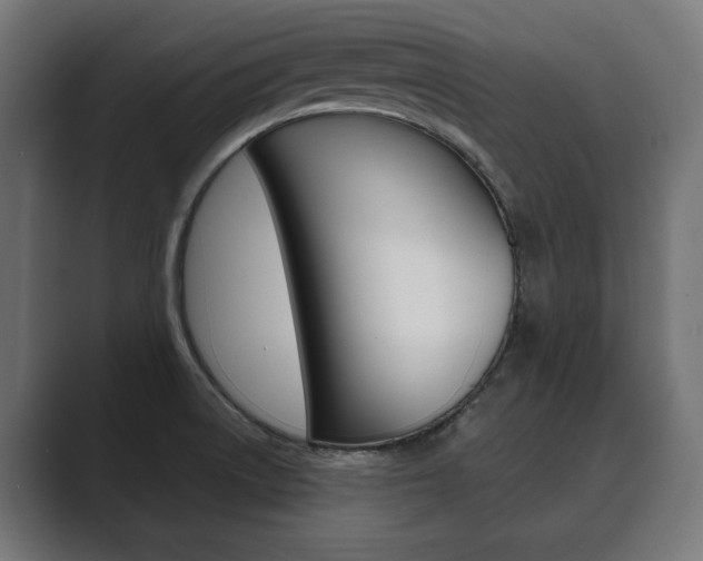 X0000089901522200706281126
