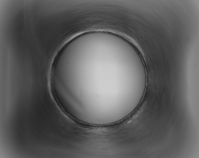X0000089901525200706281126