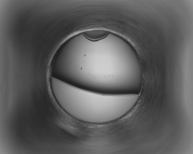 X0000089901526200706281126