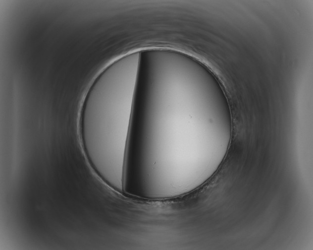 X0000089901527200706281126