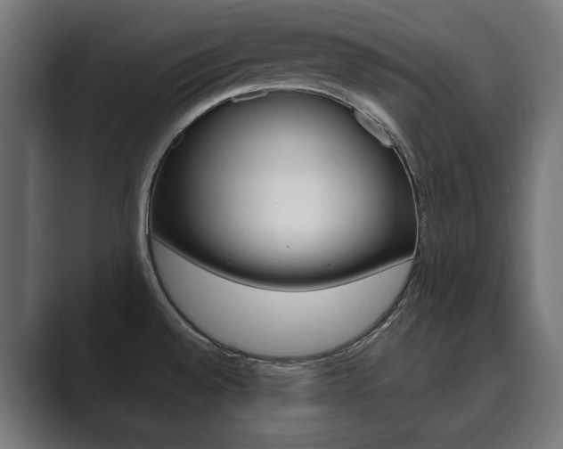 X0000089901528200706281126