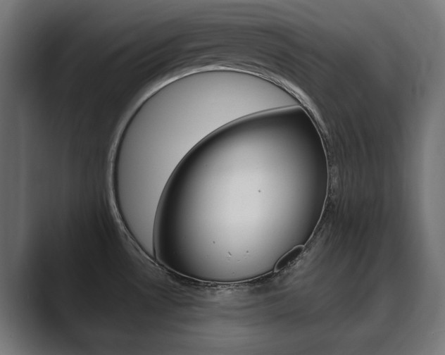X0000089901530200706281126