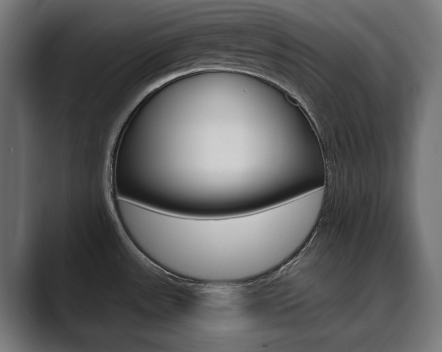 X0000089901531200706281126