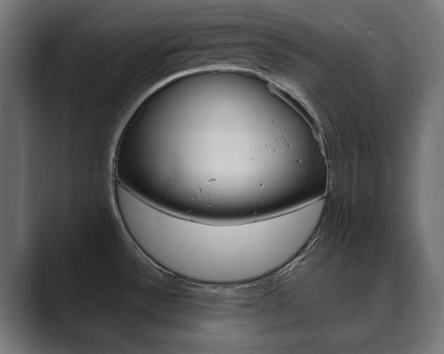 X0000089901532200706281126