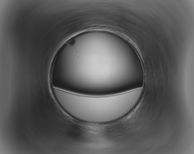 X0000089901533200706281126