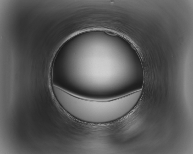X0000089901534200706281126