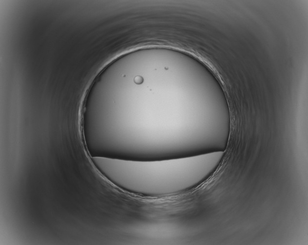 X0000089901535200706281126