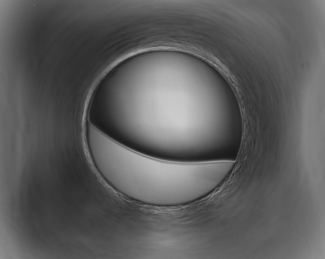 X0000089901536200706281126