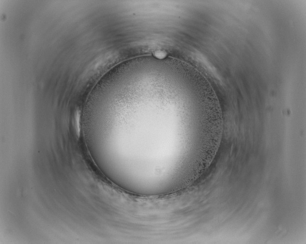 X0000089900022200706281458