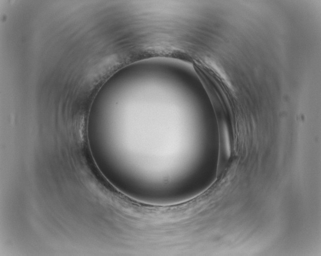 X0000089900023200706281458