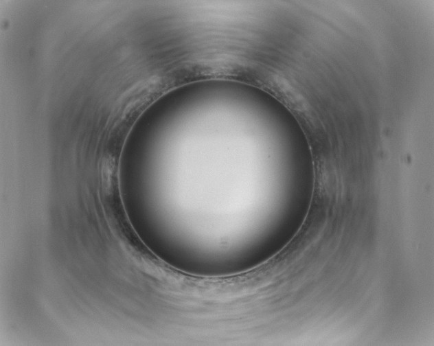 X0000089900026200706281458