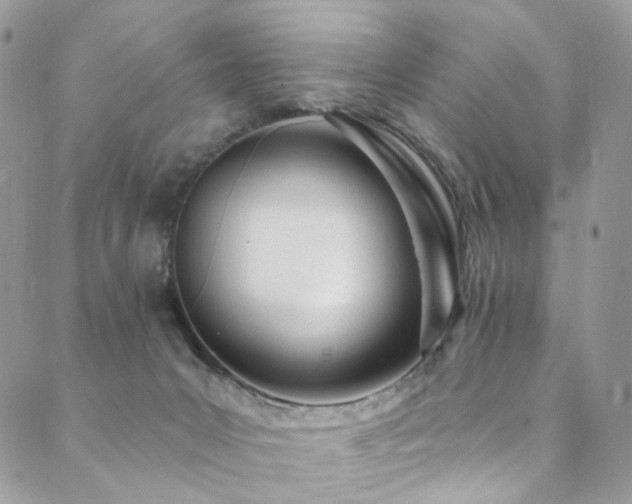 X0000089900031200706281458