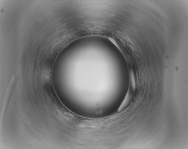 X0000089900033200706281458