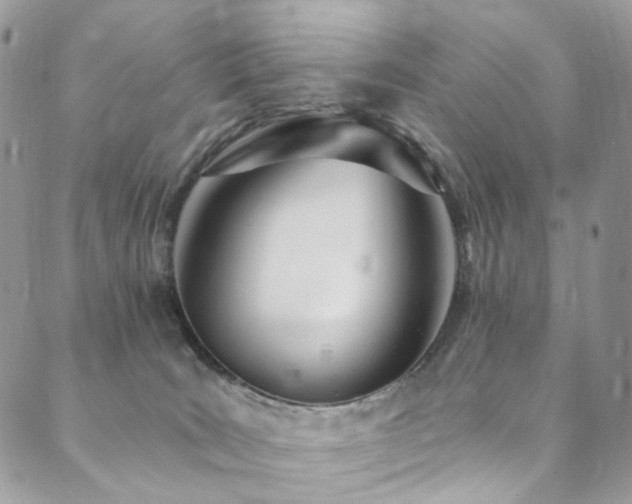X0000089900035200706281458