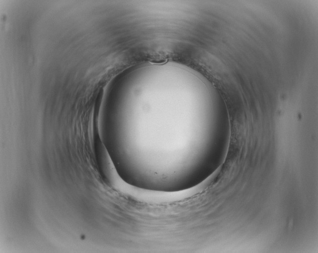 X0000089900037200706281458