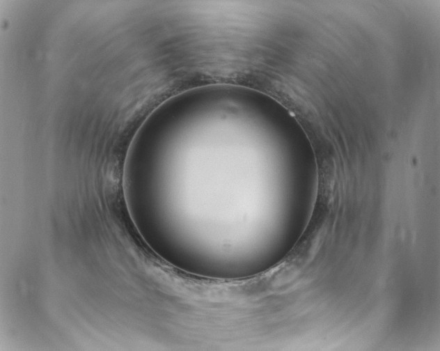 X0000089900040200706281458