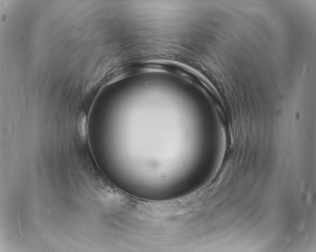 X0000089900041200706281458