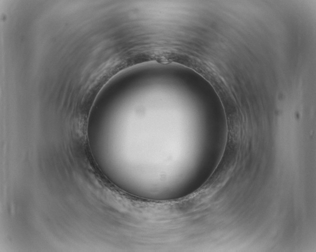 X0000089900044200706281458