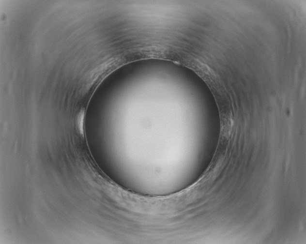 X0000089900047200706281458