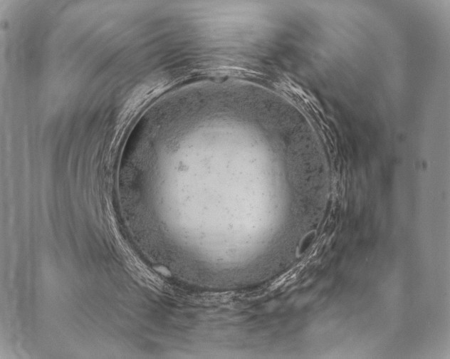 X0000089900049200706281457