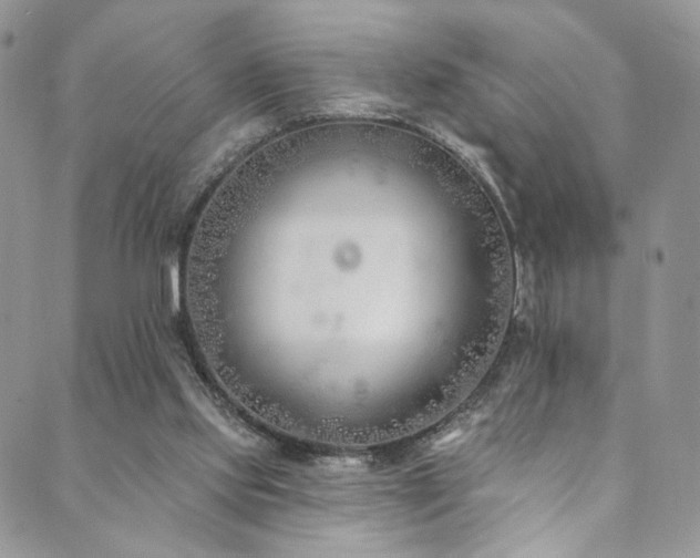 X0000089900061200706281457