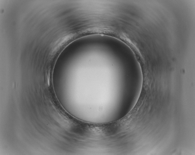 X0000089900062200706281457