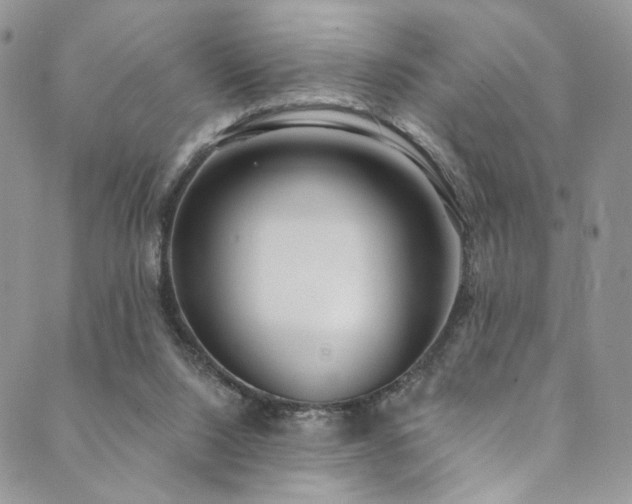 X0000089900064200706281457