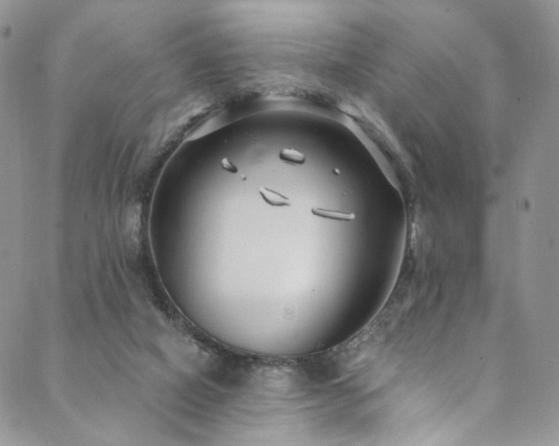 X0000089900066200706281457