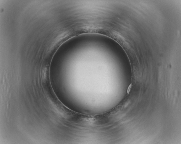 X0000089900071200706281458