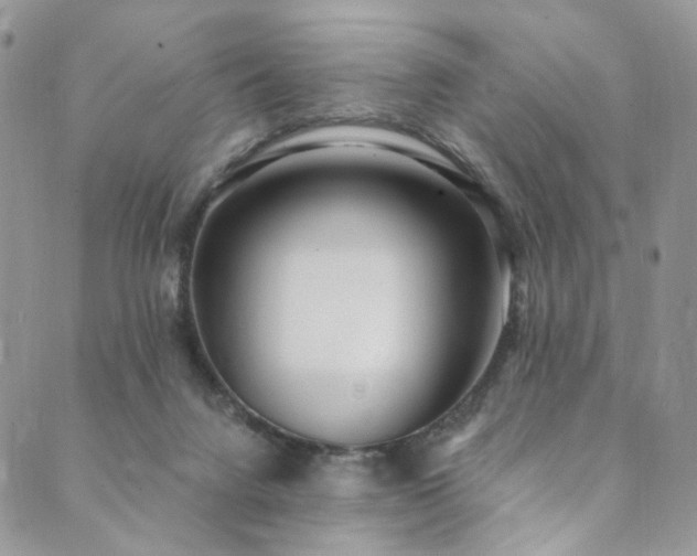 X0000089900072200706281458