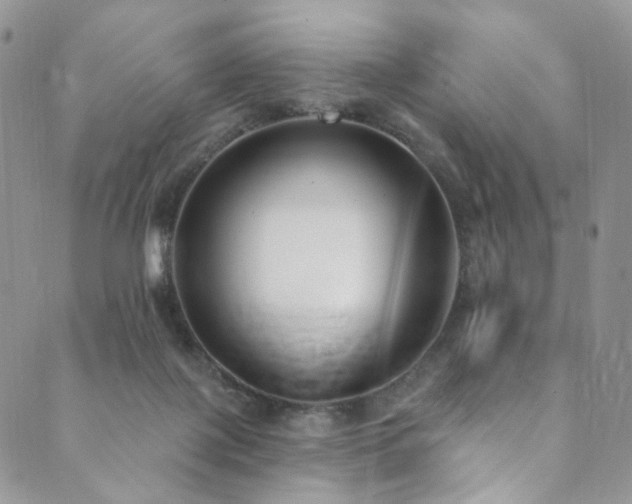 X0000089900075200706281458