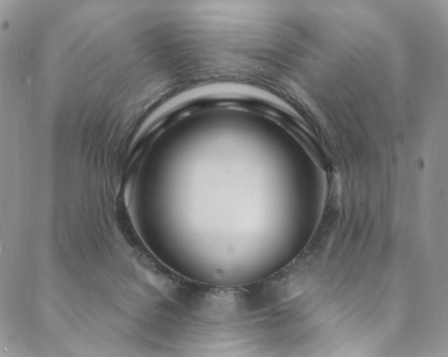 X0000089900076200706281458