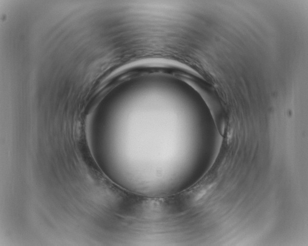 X0000089900080200706281458