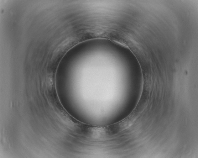 X0000089900085200706281458
