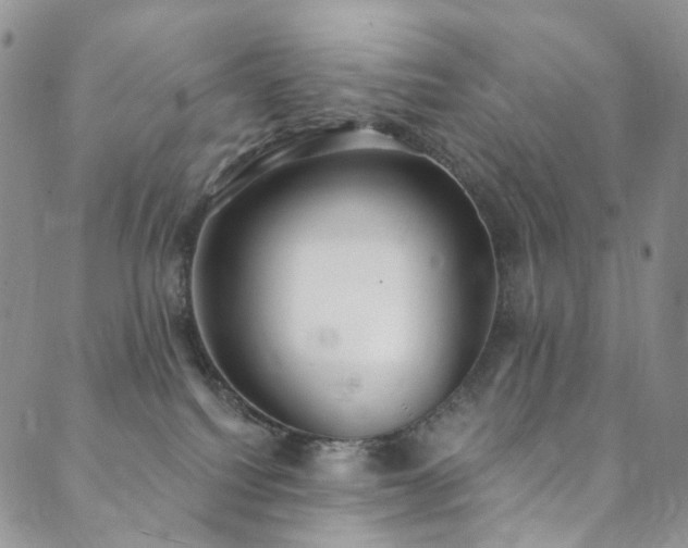 X0000089900088200706281458