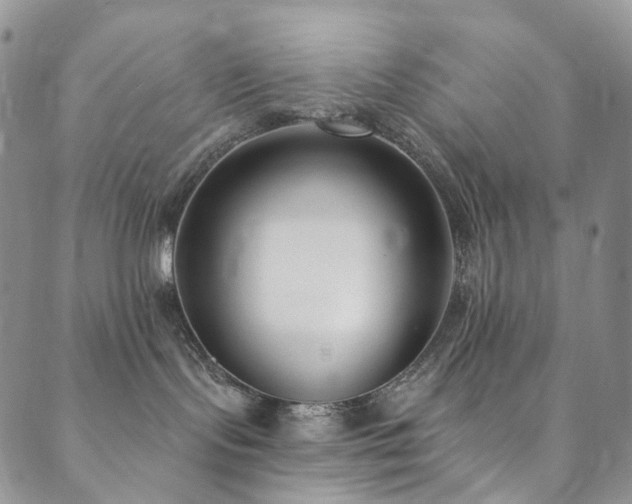 X0000089900095200706281458