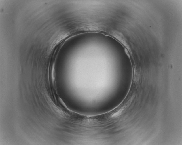 X0000089900109200706281457