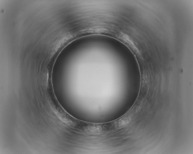 X0000089900110200706281457
