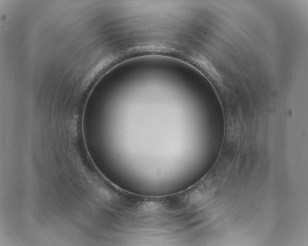 X0000089900111200706281457