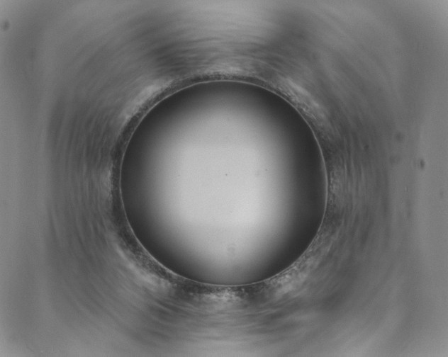 X0000089900112200706281457