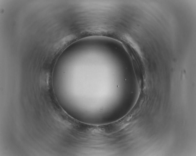 X0000089900115200706281457
