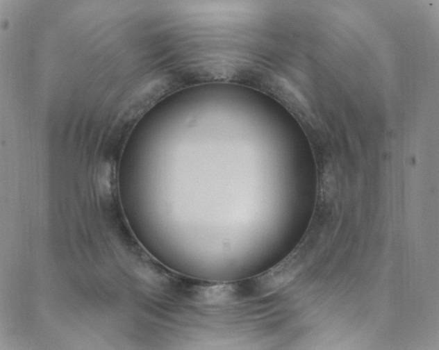 X0000089900122200706281457