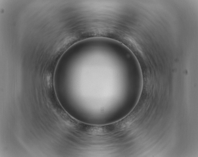X0000089900123200706281457