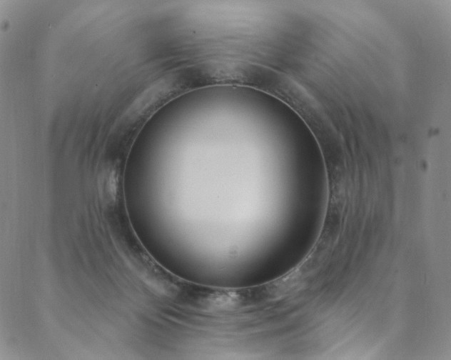 X0000089900124200706281457