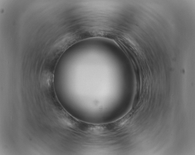 X0000089900125200706281457