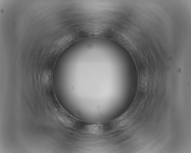 X0000089900126200706281457