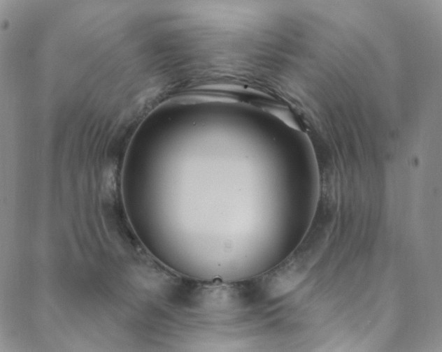 X0000089900127200706281457